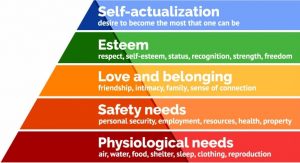 Self actualisation and commitment core values
